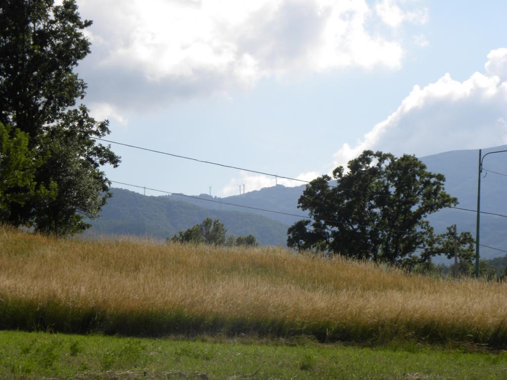 Bed and Breakfast La Castagna Matta Albareto  Екстер'єр фото